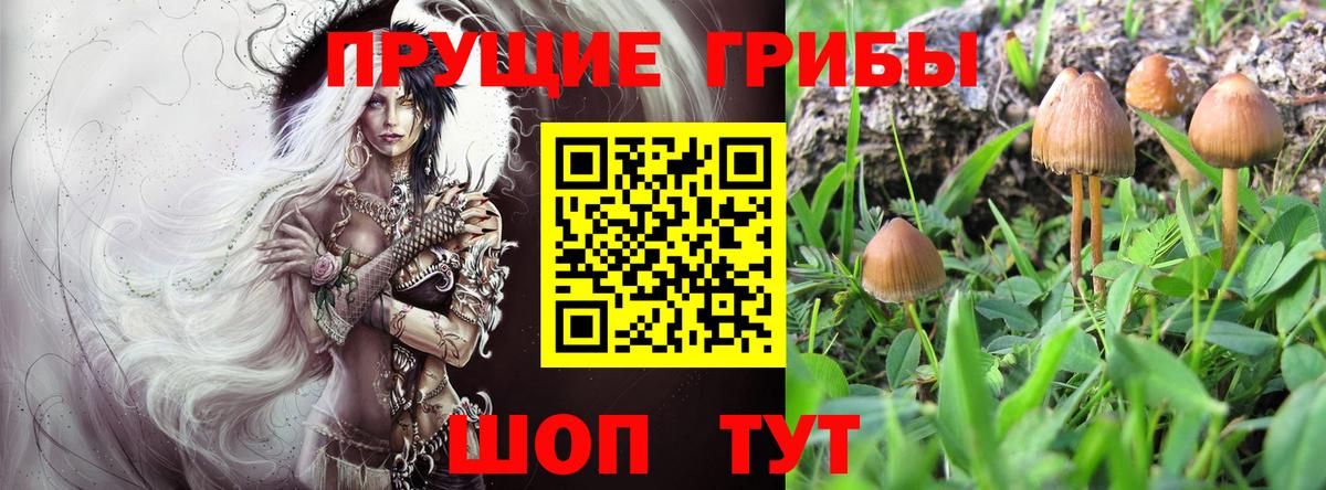 купить наркотики цена  Вход с VPN  Мыски  Галлюциногенные грибы мухоморы 
